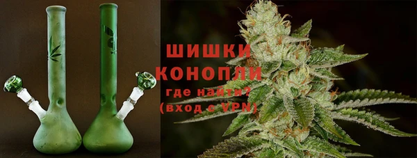 винт Ельня