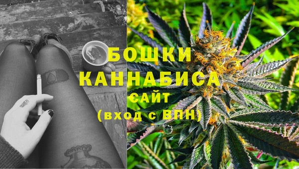 2c-b Белокуриха